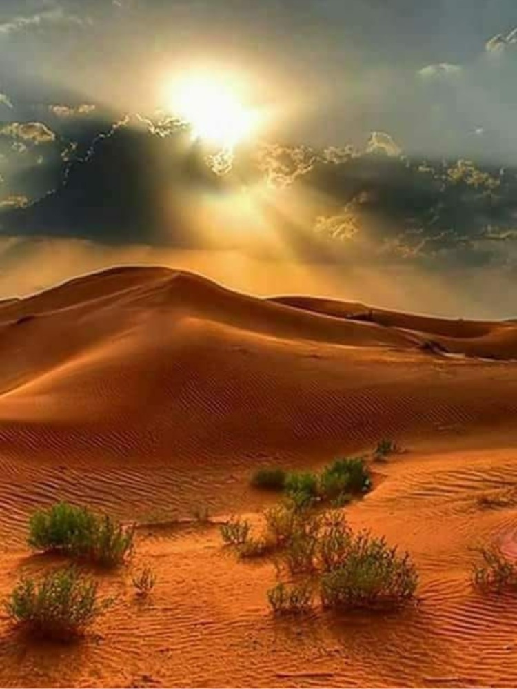 3-Day Desert Tour from Marrakech (4)