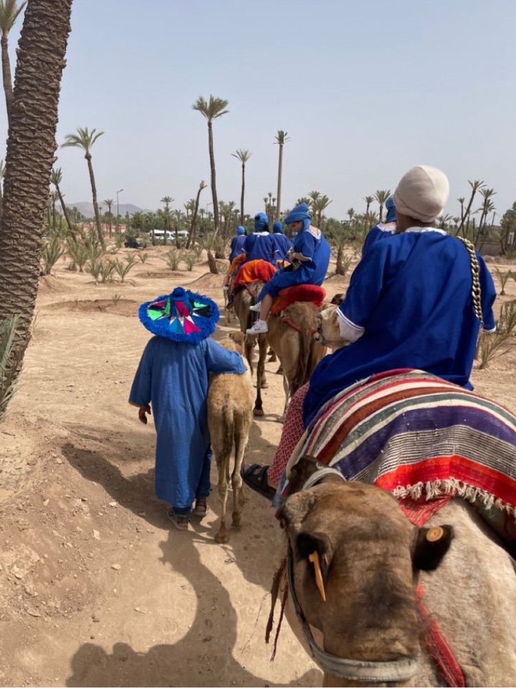 Palmeraie Quad Bike and Camel Ride – Marrakech (3)