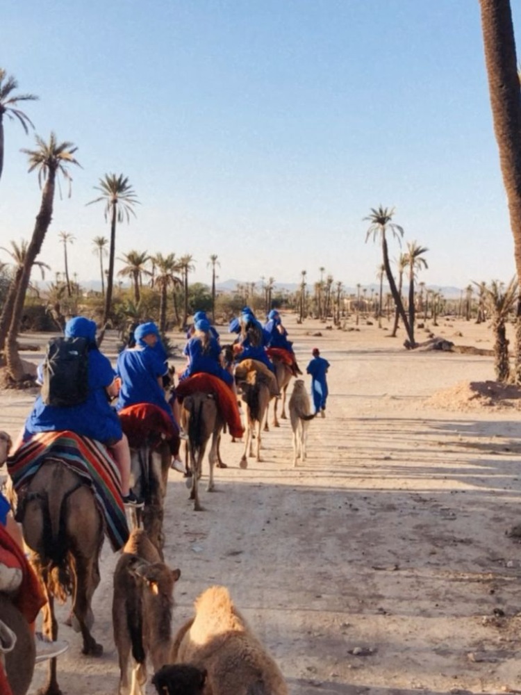 Palmeraie Quad Bike and Camel Ride – Marrakech